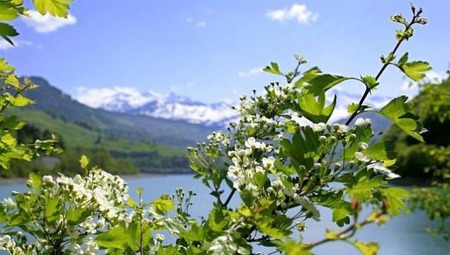 Gata, vine primăvara! E VREMEA să renunțăm la hainele groase și cizmele de iarnă!