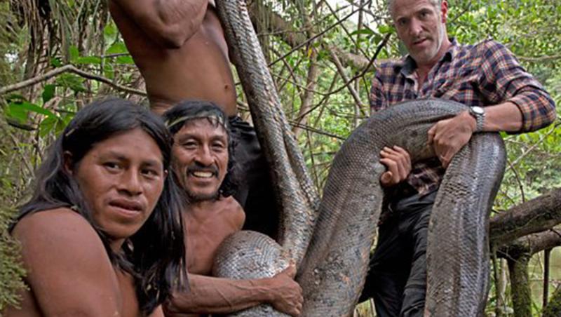 VIDEO! Băștinașii din Amazon au prins, cu mâna goală, un șarpe ANACODNA de 5,18 metri. Vezi cum arată bestia!