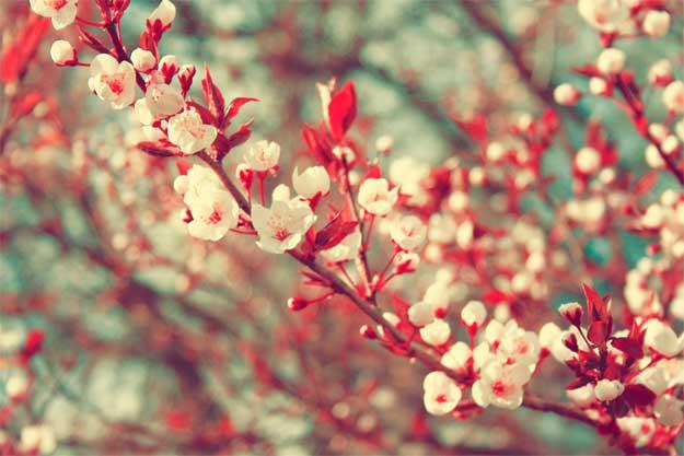 Cum &icirc;ți va fi primăvara? Horoscopul LUNII APRILIE pentru fiecare zodie &icirc;n parte