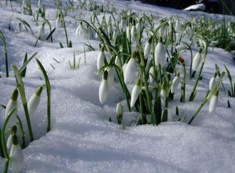 Meteorologii anunță: Vom avea zăpadă primăvara aceasta! Cum va fi vremea în următoarele luni