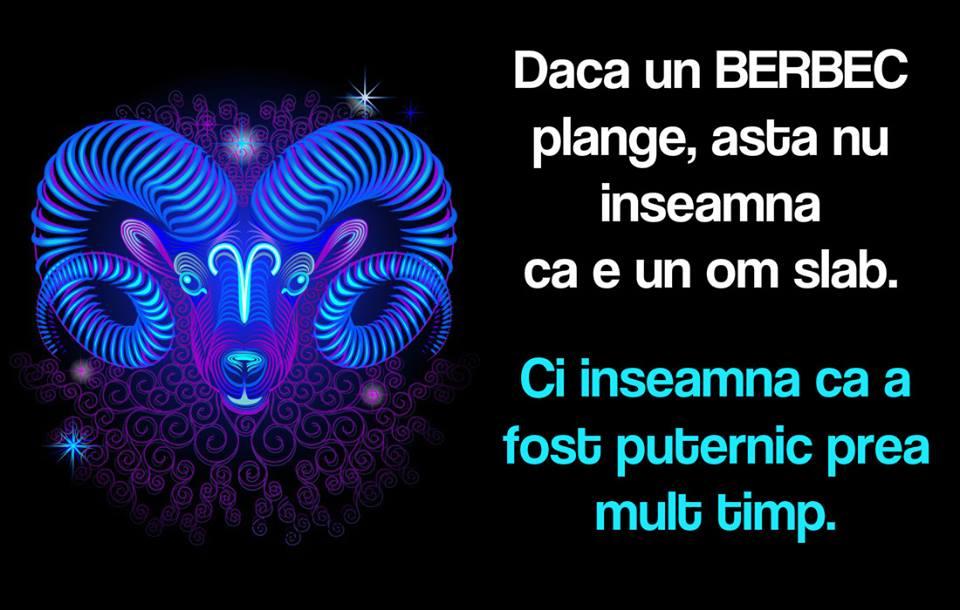 Ești Berbec? Atunci trebuie să le arăți și celorlalți cum stă treaba: Așa te descrie zodiacul de la A la Z!