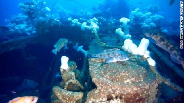 Imagini spectaculoase! A dispărut &icirc;n 1921, iar abia acum s-a aflat adevărul! Ce s-a &icirc;nt&acirc;mplat cu o navă a marinei americane