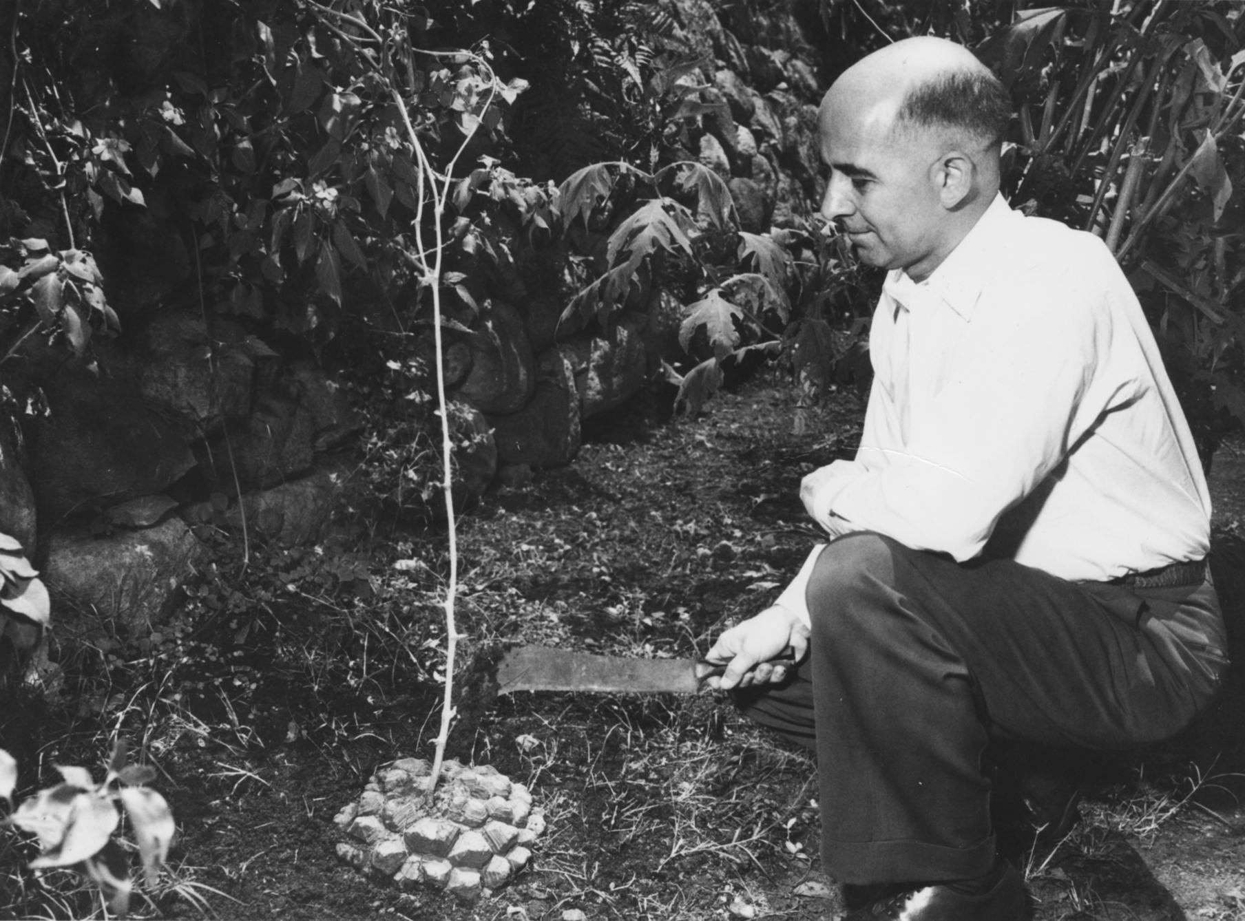 Ai auzit de Russell Marker? Nu &icirc;l căuta pe Google! Femeie, te ajută să ai exact numărul de copii pe care ţi-l doreşti!