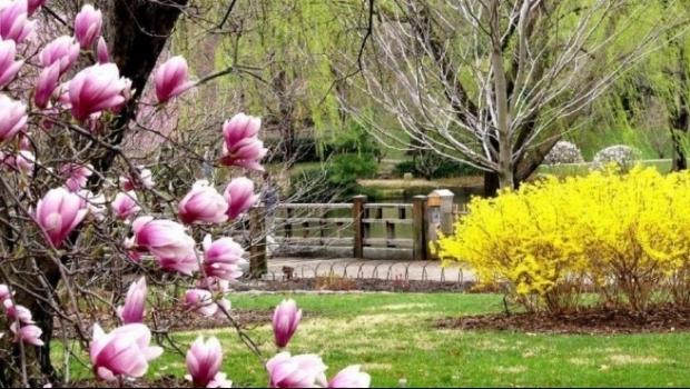 Prognoza meteo pe trei luni! Vom avea parte de ploi şi temperaturi scăzute de Paşte