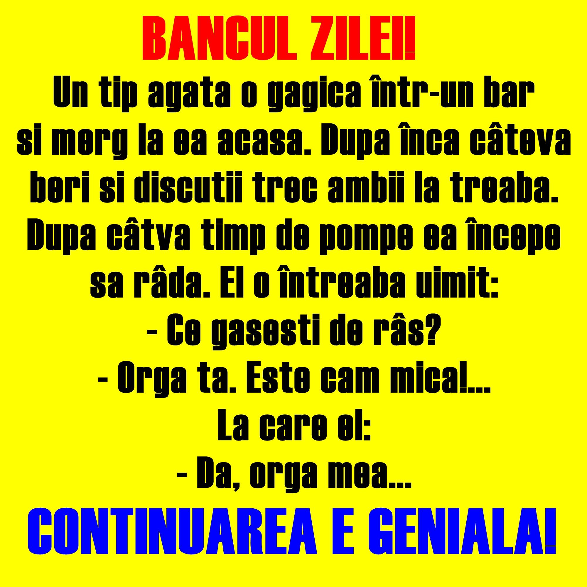 Bancul zilei: Un tip agaţă o gagică într-un bar şi merg la ea acasă...