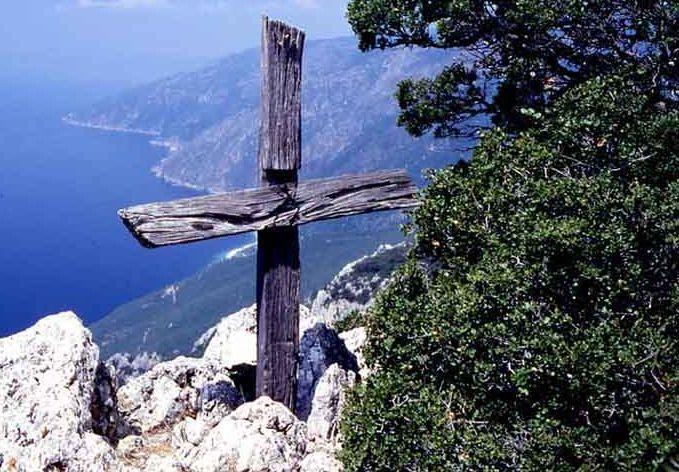 Superb. Copacii din care a fost lucrată Sf&acirc;nta Cruce!