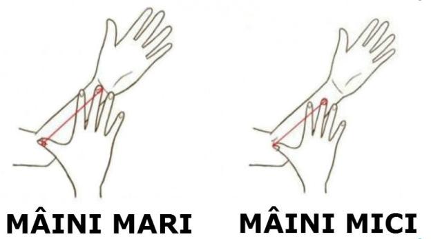 Uită-te bine la m&acirc;inile tale! Lungimea şi forma lor &icirc;ţi trădează personalitatea