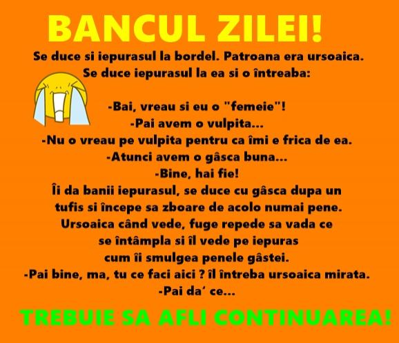 Bancul zilei:  Se duce şi iepuraşul la bordel...