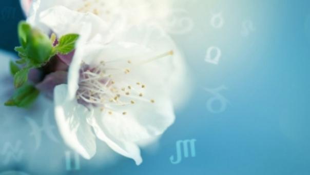 Horoscopul primăverii! Iubire şi mulţi bani! Cine sunt norocoşii zodiacului