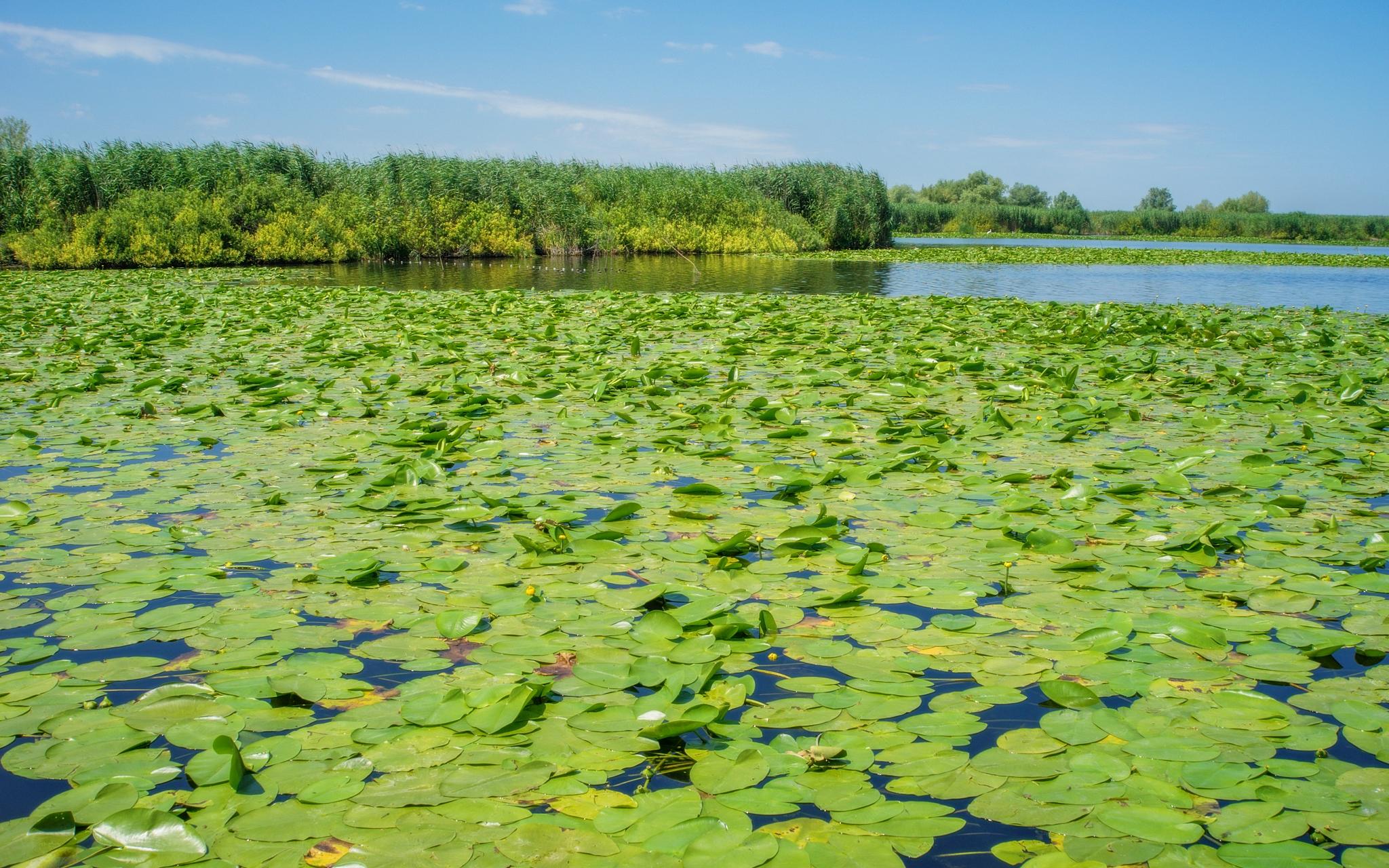 Delta Dunării, destinația perfectă pentru vacanțe &icirc;n familie