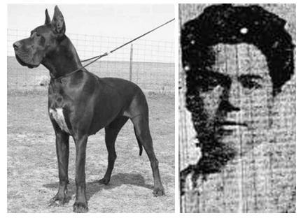 Povestea CUTREMURĂTOARE a femeii care a preferat să moară pe Titanic alături de căţelul ei deşi a fost prima &icirc;n barca de salvare