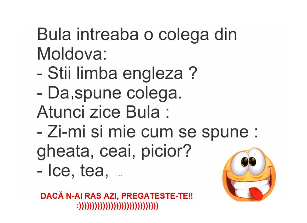 Bancul zilei! Bulă, la școală, socializează cu o colegă din Moldova...