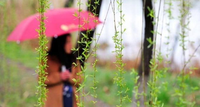 1 mai, unii &icirc;n Vamă, alții la iarbă verde! Prognoza meteo pentru următoarele două săptăm&acirc;ni. Cum va fi vremea de Florii și de Paște