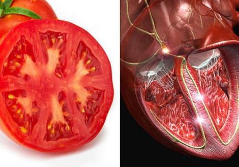 WEEKEND: Alimente care se aseamănă cu organele pe care le ajută să funcționeze mai bine
