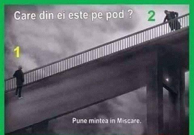 Test de perspicacitate. Doar unul dintre cei doi stă pe pod, dar cei mai mulți oameni greșesc răspunsul!