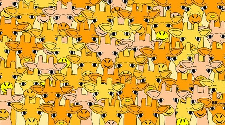 Ne concentrăm, da? Găseşte-l, &icirc;n doar zece secunde, pe &icirc;ndrăgitul Yoda din mulţimea de girafe