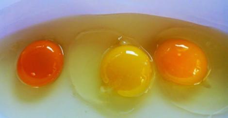 Mănânci sănătos? Care dintre cele trei ouă provine de la o găină crescută la ţară? Vei fi surprins