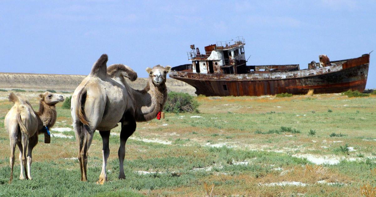 DEZASTRU NATURAL! A patra cea mai &icirc;ntinsă mare din lume a secat, din cauza oamenilor