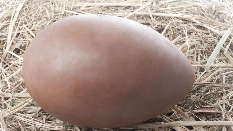 Gigantul delicios! Cel mai înalt ou de Paște din ciocolată are zece metri înălțime și arată spectaculos! (FOTO)