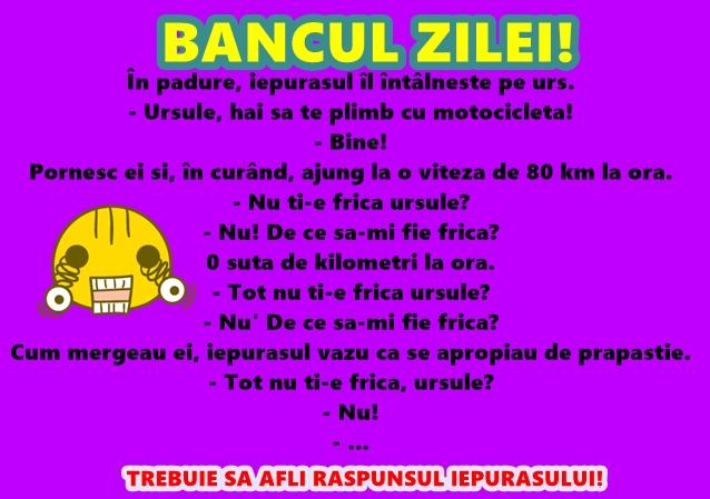 Bancul zilei: În pădure, iepuraşul îl întâlneşte pe urs...