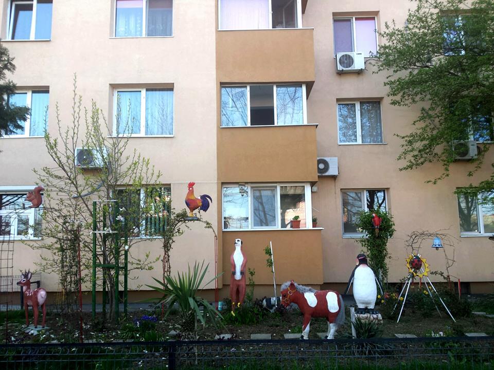 "&Icirc;n faţa unui bloc, patru ochi luceşte... Ce să este oare?" Cum s-a deschis o grădină zoologică &icirc;n faţa unui bloc din Rom&acirc;nia