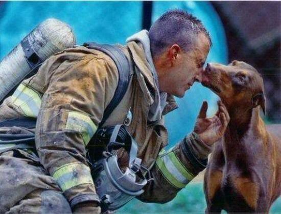 Foto Emoționant: Animale aflate &icirc;n situații critice, salvate de echipele de intervenții