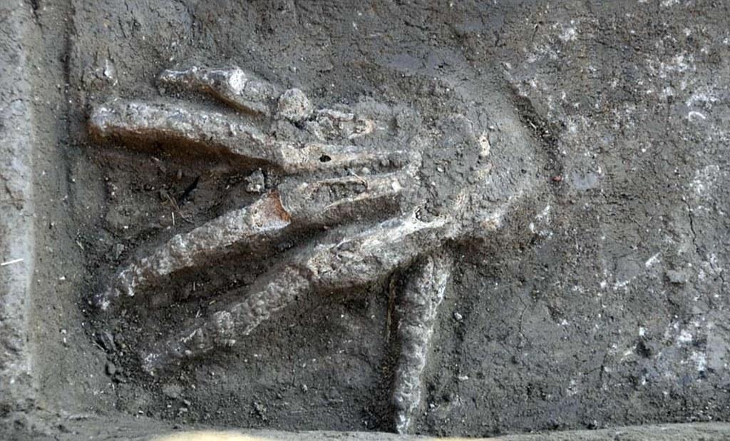 Descoperiri oribile. Gropile umplute cu m&acirc;ini umane de la Avaris