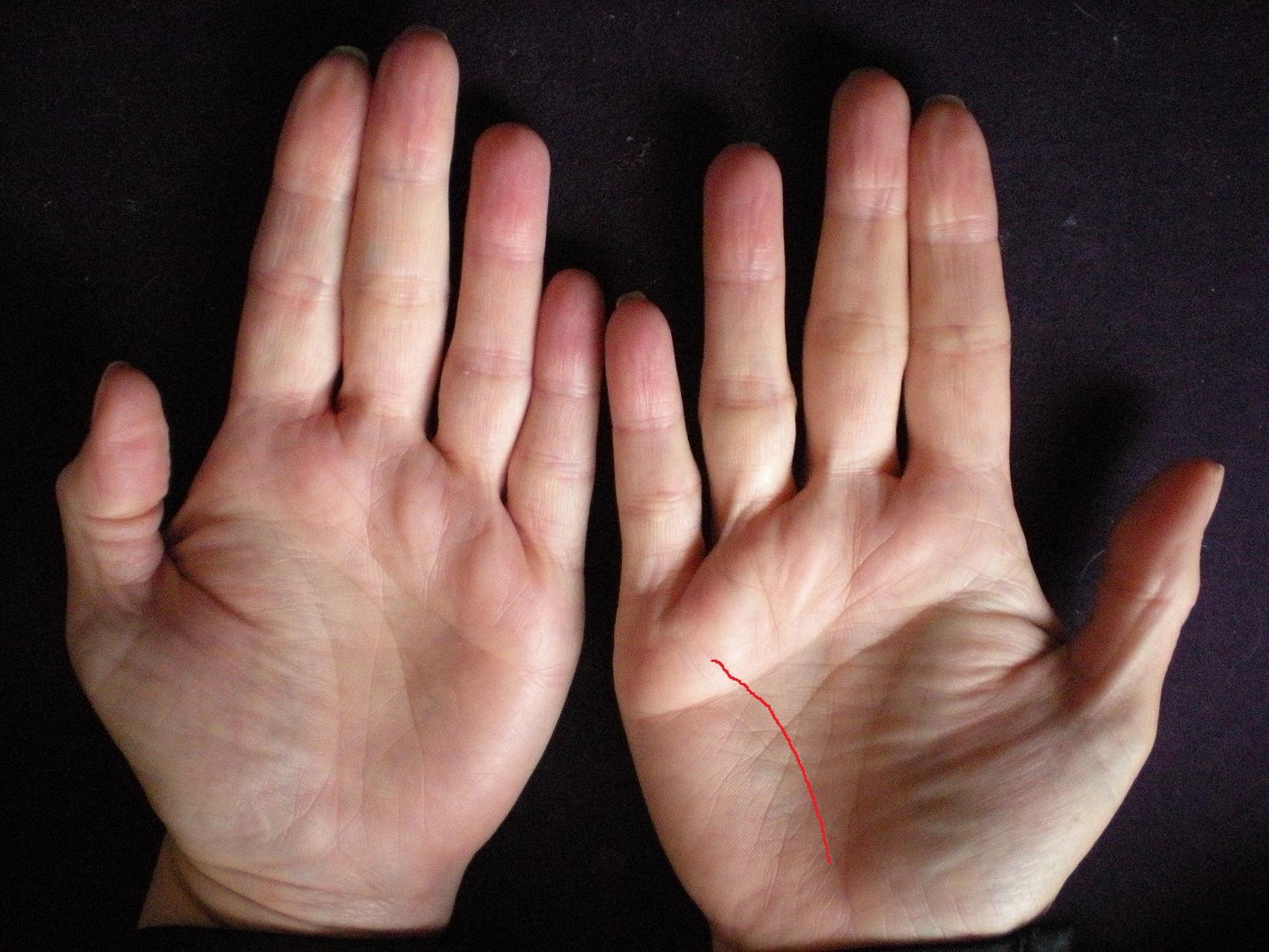 Doar cei norocoși au acest semn &icirc;n palmă! Linia lunii &icirc;ți dezvăluie ce fel de viitor te așteaptă!