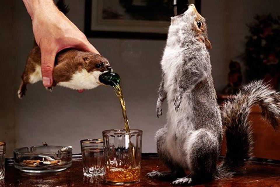 Una dintre cele mai scumpe beri din lume este servită &icirc;ntr-o veveriţă moartă. S-a v&acirc;ndut tot!