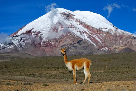 Bombă mondială! Everestul nu este cel mai înalt punct de pe Glob! Vulcanul Chimborazo i-a luat, de astăzi, locul!