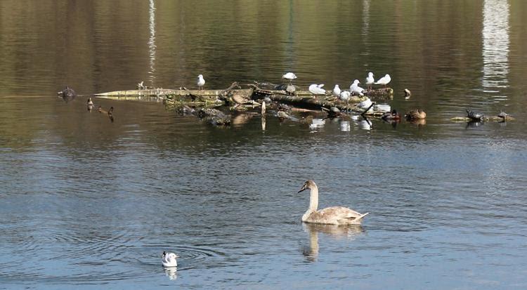 Toți se feresc să vorbească despre asta. Locul blestemat din București &icirc;n care au murit sute de oameni!