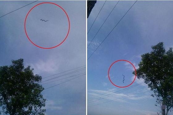 Ai grijă dacă mergi &icirc;n Malaezia! Te poţi trezi cu un şarpe &icirc;n cap  - VIDEO