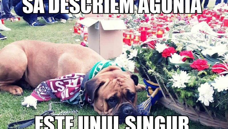 „Nu au venit preoții, dar a venit un câine!” Povestea  bulldogului rapidist care a impresionat întreaga România după moartea lui Ekeng