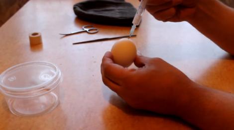 Un rus a injectat lichid seminal într-un ou de găină. Ce a ieşit zece zile mai târziu te va pune pe FUGĂ!