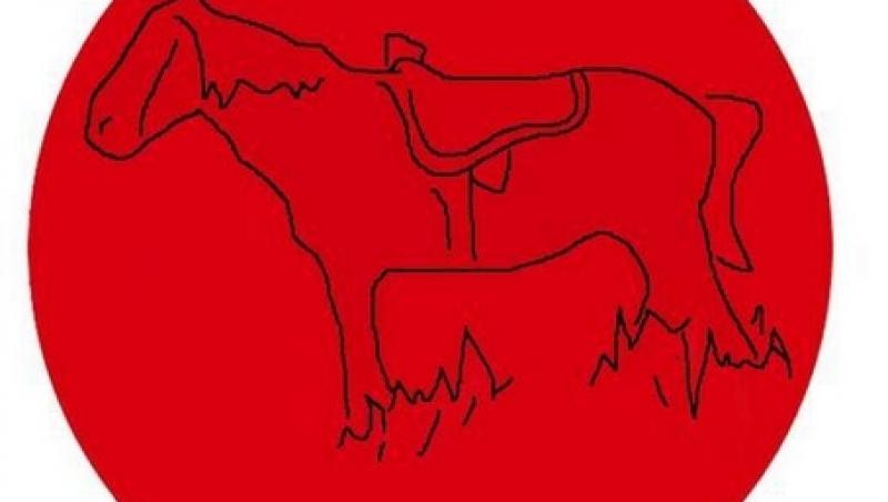 Cea mai tare iluzie optică! Tu ce vezi în această imagine? Un cerc roşu sau un cal?