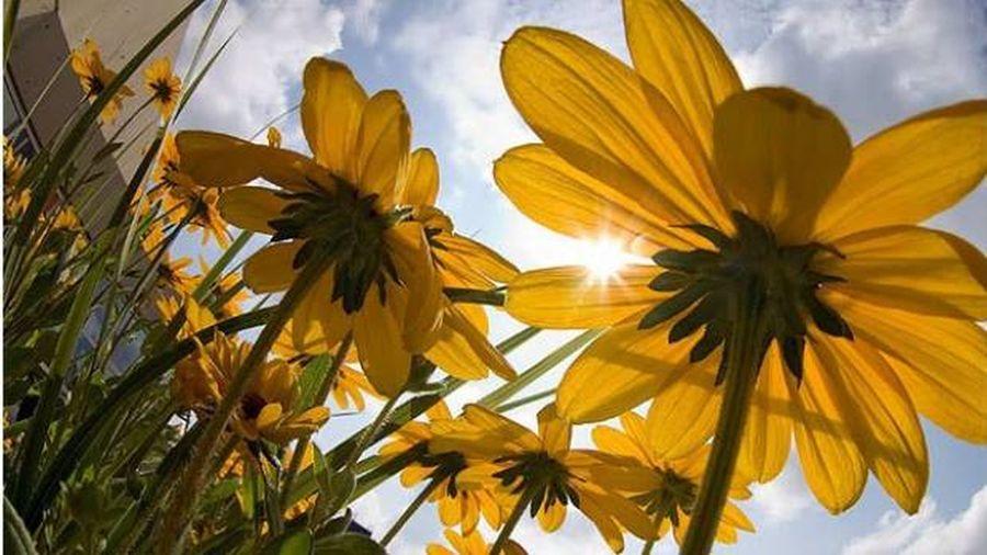 Printre ploi și v&acirc;nt, va apărea și soarele! C&acirc;nd se va &icirc;ncălzi vremea!