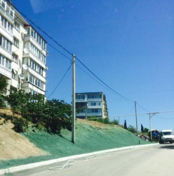 Pare greu de crezut, dar e c&acirc;t se poate de adevărat! Au vopsit iarba uscată &icirc;n verde, să arate mai bine