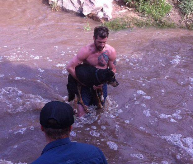 Gest &icirc;nduioșător! Acest bărbat a salvat un c&acirc;ine de la &icirc;nec, din apele reci ale r&acirc;ului. Reacția stăp&acirc;nei e de neprețuit