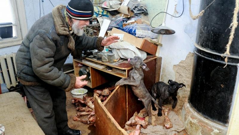 ”Iubiți și câinii vagabonzi!” Povestea în imagini a unui rus care ține 50 de câini într-o căsuță. A întrecut-o pe femeia din România cu 29 de pisici într-o garsonieră