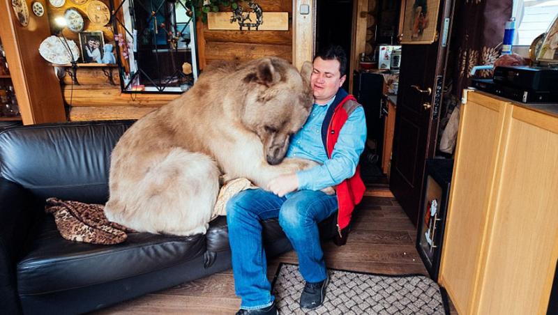 Imagini înduioșătoare! Acum 23 de ani, un cuplu a adoptat un ursuleț rămas orfan! Azi, mănâncă 25 de kilograme de pește și legume, la masă cu ei