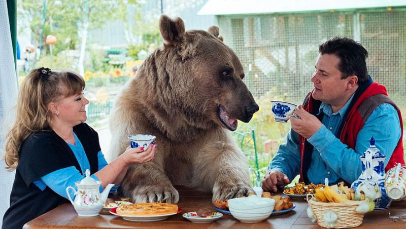 Imagini înduioșătoare! Acum 23 de ani, un cuplu a adoptat un ursuleț rămas orfan! Azi, mănâncă 25 de kilograme de pește și legume, la masă cu ei