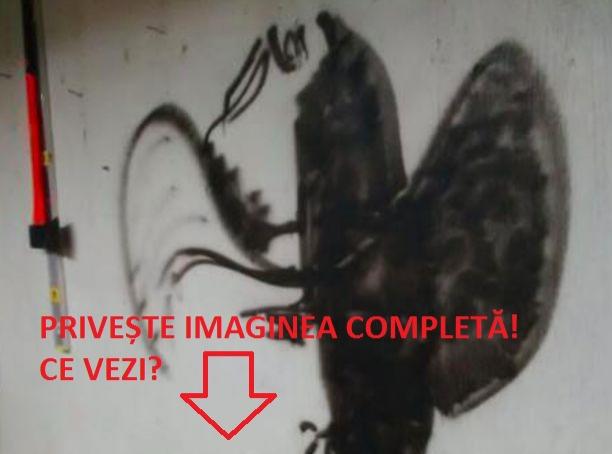 Iluzia care a cucerit internetul! Doar persoanele cu o percepție extraordinară pot vedea această imagine. Tu poți?