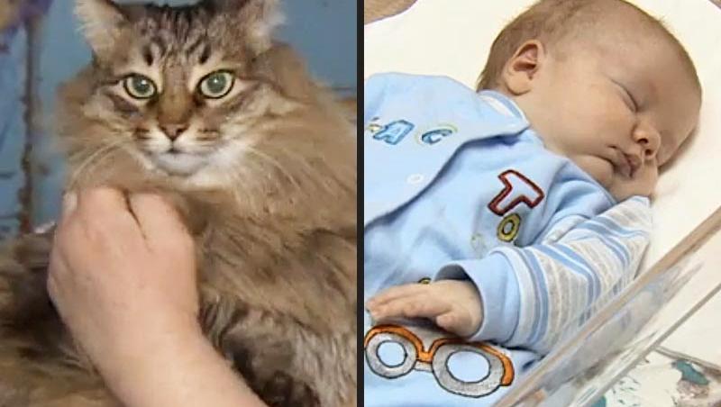 Un bebeluș abandonat a fost salvat de o pisicuță eroină! Povestea emoționantă a celor doi - FOTO + VIDEO