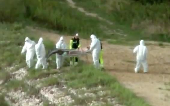 Cercetători &icirc;n costume albe cară, pe o targă,  o sirenă. Imaginile care fac &icirc;nconjurul Lumii - VIDEO