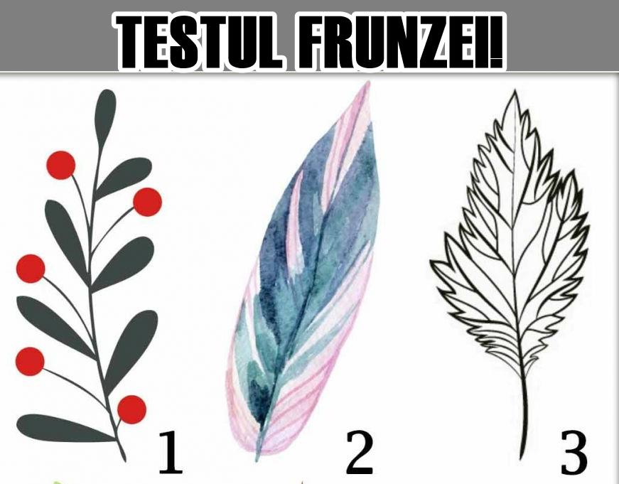 Alege una dintre frunze şi află ce spune asta despre personalitatea ta