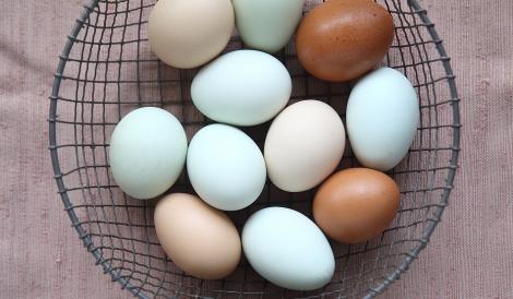 Tu pe care le alegi din supermarket? Nutriționiștii fac lumină: de ce unele ouă sunt albe și altele rozii sau maro