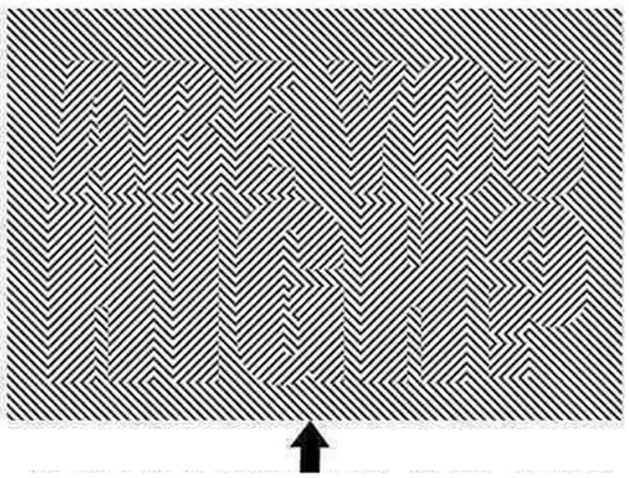 Testul pe care nouă din zece oameni &icirc;l pică? Tu poţi citi asta?