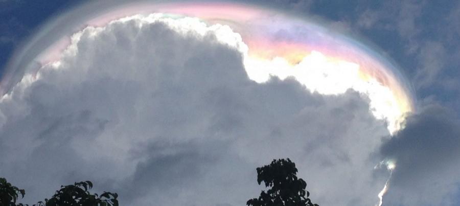 Mesajul care &icirc;nfioară Europa: &bdquo;Bucuraţi-vă de viaţă p&acirc;nă mai puteţi&rdquo;