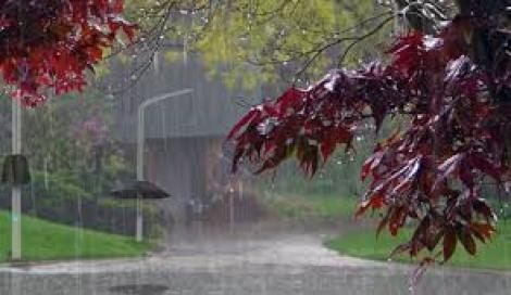 Vine furtuna în Cireșar! Cod GALBEN de ploi şi vijelii. HARTA zonelor afectate