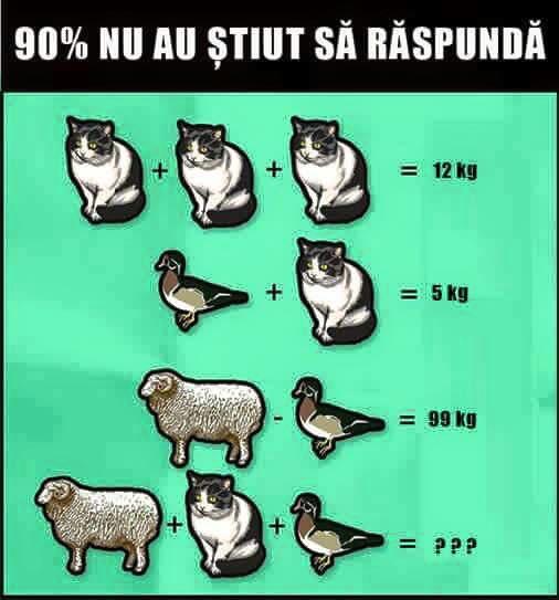 TESTUL ANIMALELOR! Nouă din zece oameni &icirc;l pică! Tu te-ai prins?